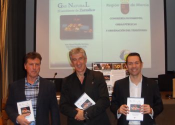 Libro ´Gas Natural. El Accidente de Zarzalico´