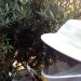http://aself.org/wp-content/uploads/2016/01/IMG-20140603-WA0004-11.jpg