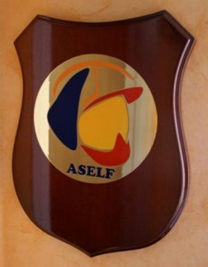 Metopa nuevo logotipo ASELF