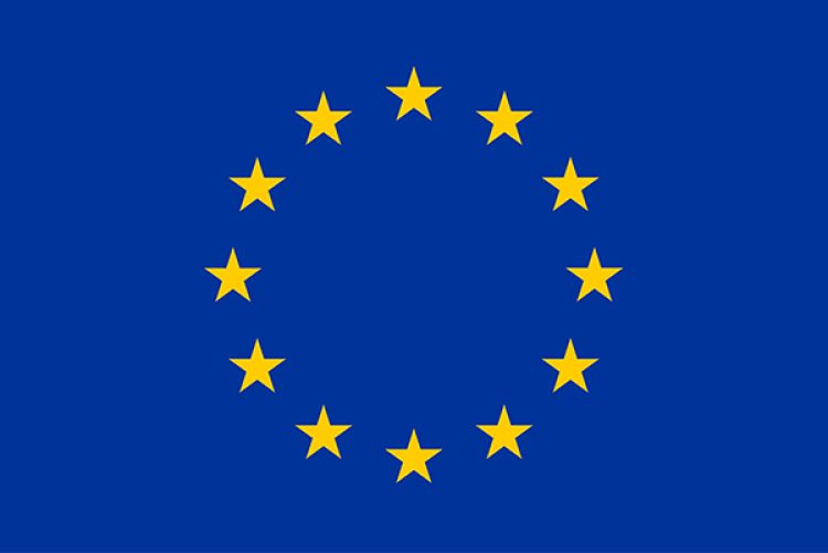 APOYO DE LA COMISIÓN EUROPEA EN LAS JORNADAS ORGANIZADAS POR ASELF