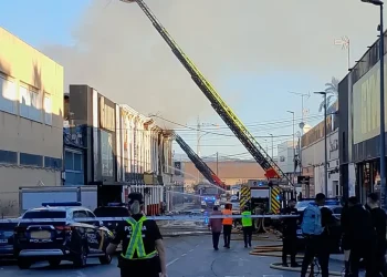 APOYO DE ASELF A MURCIA