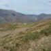 CONDOLENCIAS. BOMBERO FORESTAL FALLECIDO EN CANTABRIA