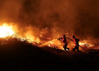 APOYO DE ASELF A PORTUGAL