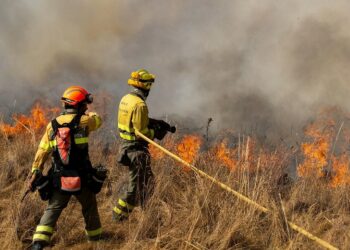 APOYO DE ASELF POR LOS INCENDIOS ORIGINADOS EN ESPAÑA