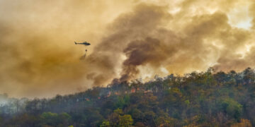 ´VII JORNADA TÉCNICA LUCHA CONTRA INCENDIOS FORESTALES´ ORGANIZADA POR TECNIFUEGO
