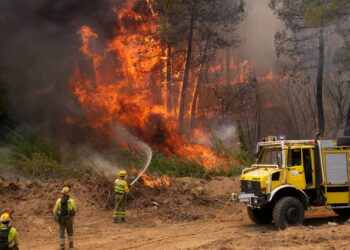 ASELF EXPRESA SU APOYO Y SOLIDARIDAD A LOS AFECTADOS POR LOS INCENDIOS FORESTALES Y A QUIENES LUCHAN CONTRA EL FUEGO