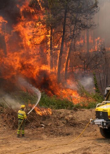 ASELF EXPRESA SU APOYO Y SOLIDARIDAD A LOS AFECTADOS POR LOS INCENDIOS FORESTALES Y A QUIENES LUCHAN CONTRA EL FUEGO