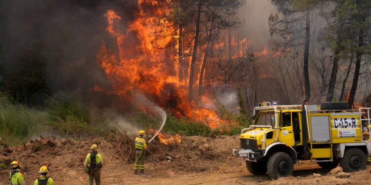 ASELF EXPRESA SU APOYO Y SOLIDARIDAD A LOS AFECTADOS POR LOS INCENDIOS FORESTALES Y A QUIENES LUCHAN CONTRA EL FUEGO