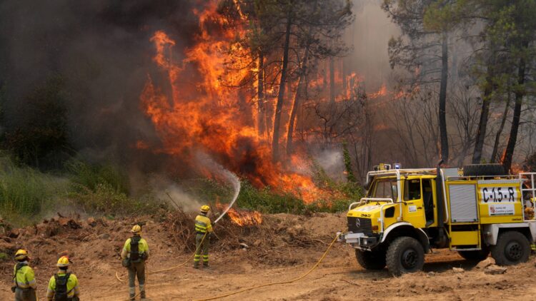 ASELF EXPRESA SU APOYO Y SOLIDARIDAD A LOS AFECTADOS POR LOS INCENDIOS FORESTALES Y A QUIENES LUCHAN CONTRA EL FUEGO