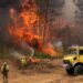 ASELF EXPRESA SU APOYO Y SOLIDARIDAD A LOS AFECTADOS POR LOS INCENDIOS FORESTALES Y A QUIENES LUCHAN CONTRA EL FUEGO