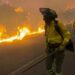 CONDOLENCIAS POR EL FALLECIMIENTO DE LAS VÍCTIMAS DEL INCENDIO DE ALMERÍA