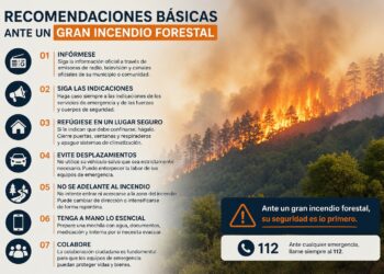 ´VIII JORNADA TÉCNICA LUCHA CONTRA INCENDIOS FORESTALES´ ORGANIZADA POR TECNIFUEGO