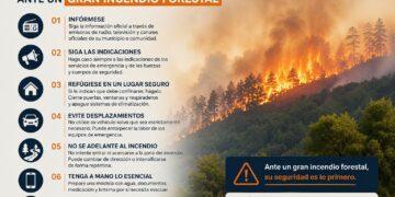 ´VIII JORNADA TÉCNICA LUCHA CONTRA INCENDIOS FORESTALES´ ORGANIZADA POR TECNIFUEGO